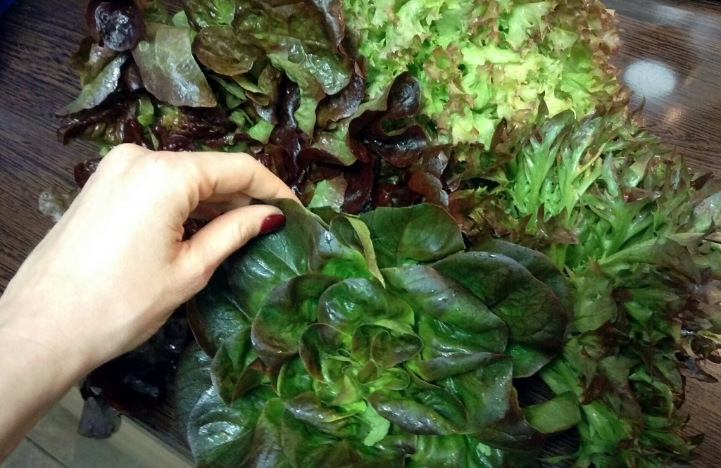 RAPID, GUSTOS SI SANATOS! Salata cu caracatita si legume pe grill.