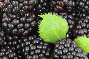 Simple si delicioase: 3 retete de smoothie cu fructe de padure