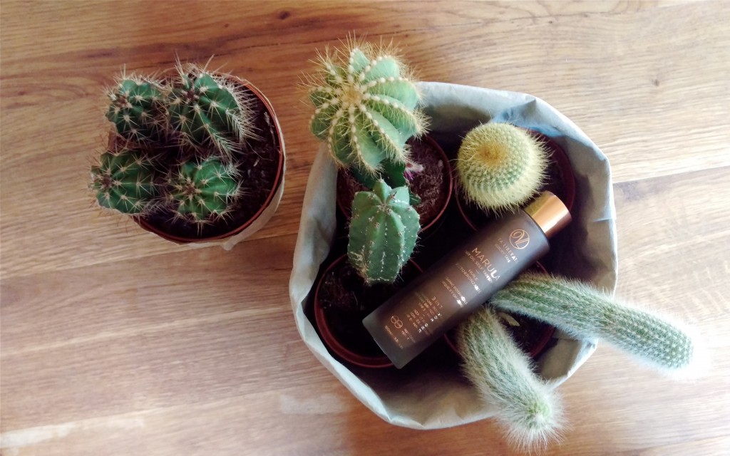 Autobronzantele care m-au multumit8